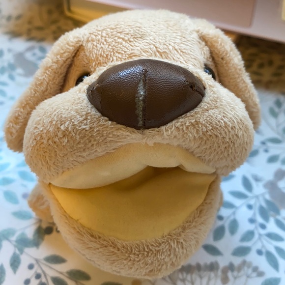 Dog Glasses case - Picture 1 of 2